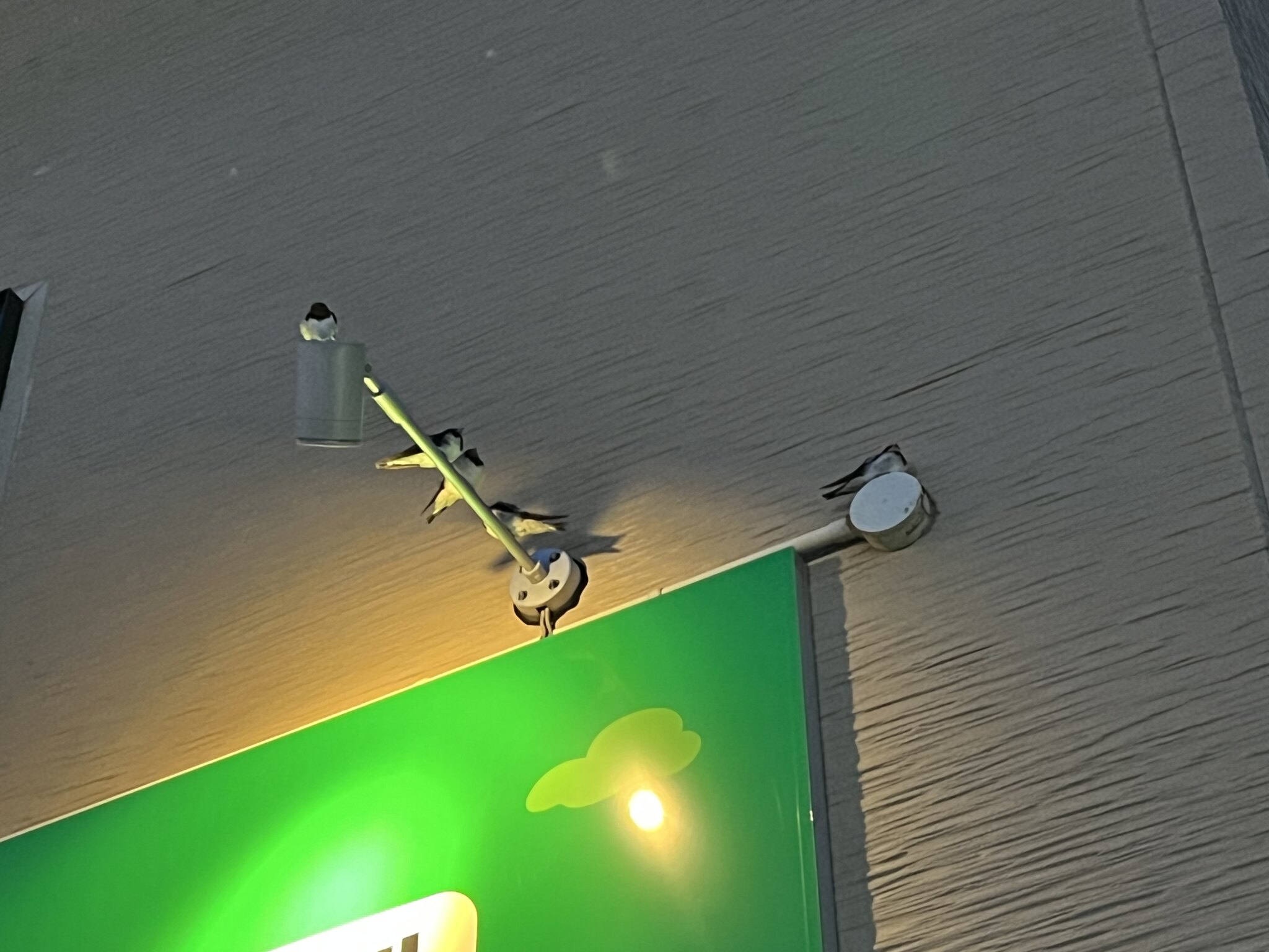 カギ屋